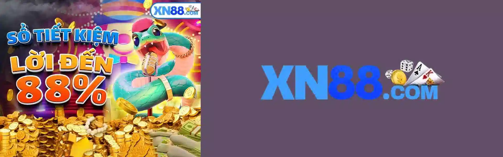 Banner XN88