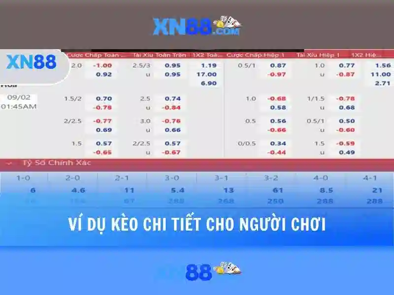 Nguồn gốc và động lực
