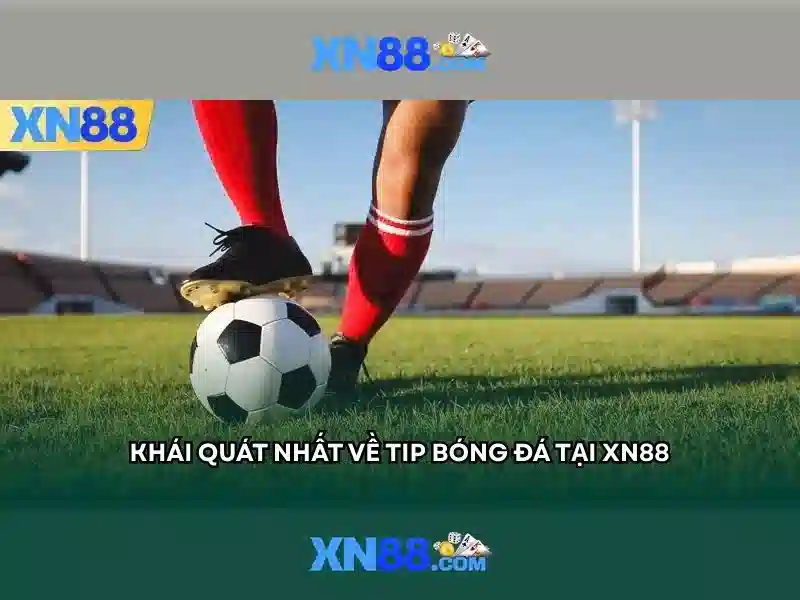 Kết nối và hỗ trợ khách hàng