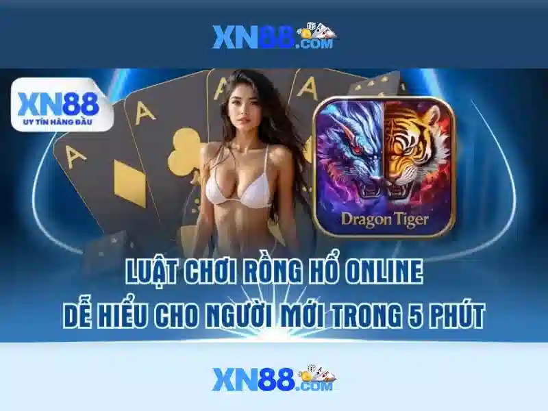 Giới thiệu về xn88
