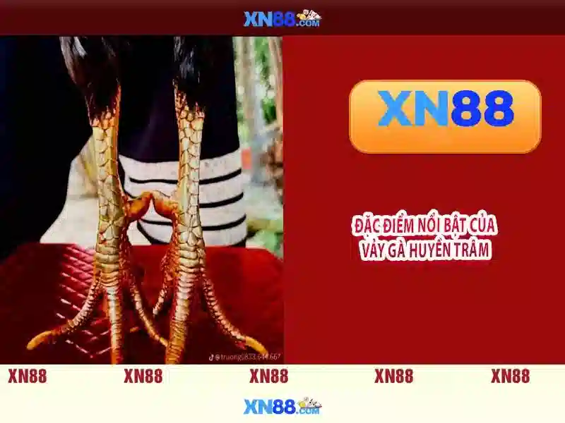 Kết luận về xn88