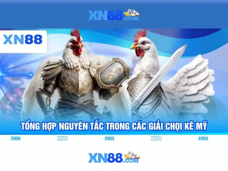Giới thiệu về xn88