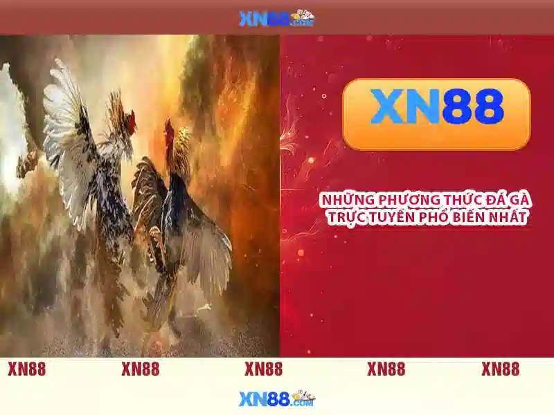 Cội nguồn và sự phát triển