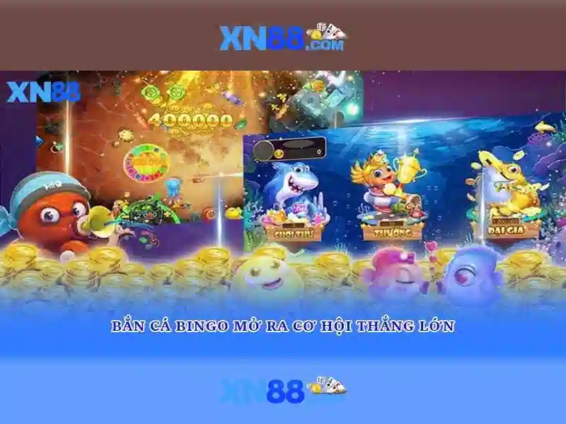 Lịch sử, hợp tác và triển vọng
