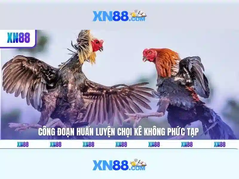 Tác động đối với cộng đồng
