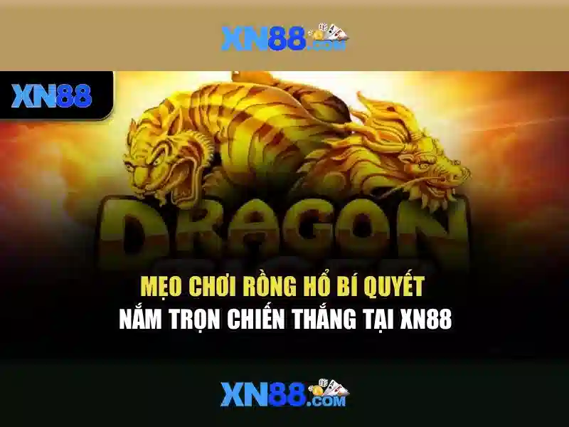 Giới thiệu về xn88