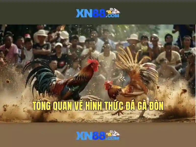 Kết luận