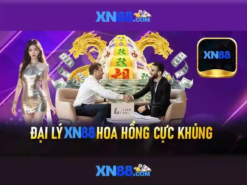 Khuyến nghị và lưu ý