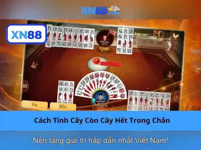 Lịch sử và phát triển