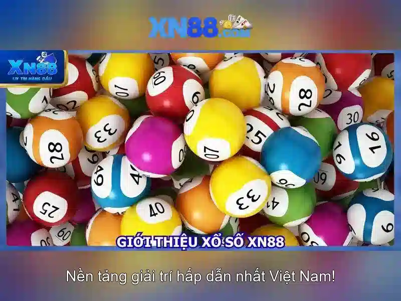 Đánh giá và trải nghiệm người dùng