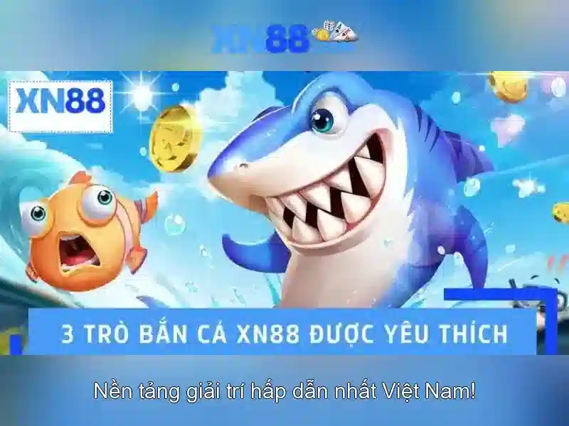 Giới thiệu về xn88