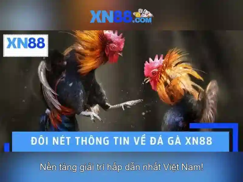 Các trò chơi nổi bật