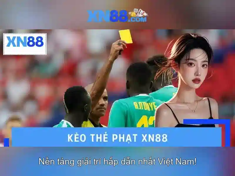Lịch sử và tầm nhìn