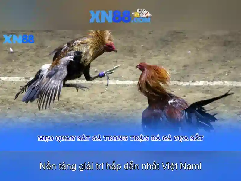 An toàn và tin cậy