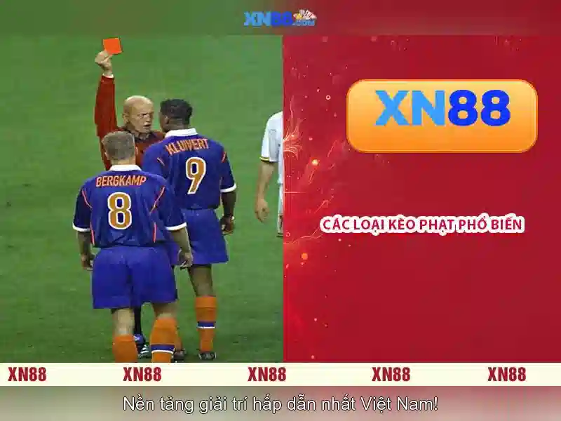 Giới thiệu về xn88