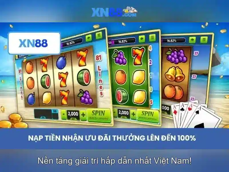 Lịch sử và vai trò của xn88