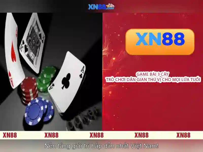 xn88 là gì?