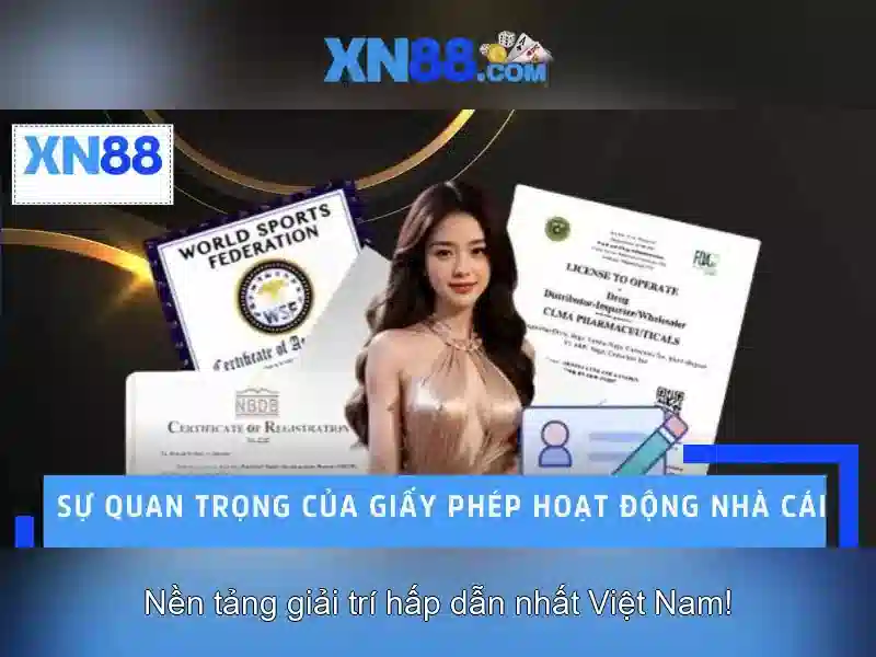 Hỗ trợ khách hàng