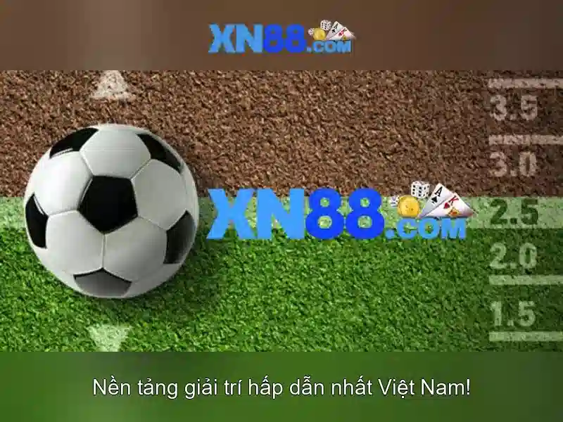 Giay_phep_xn88