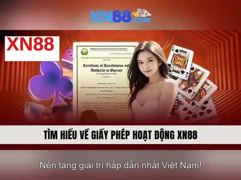 Dịch vụ và cách sử dụng