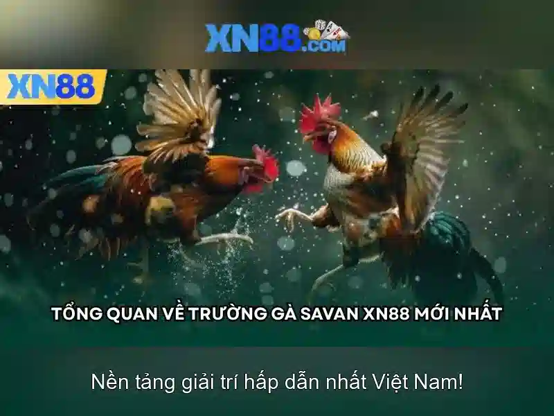 An toàn và bảo mật cho người dùng