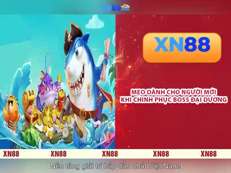 Lịch sử và sứ mệnh của Xn88