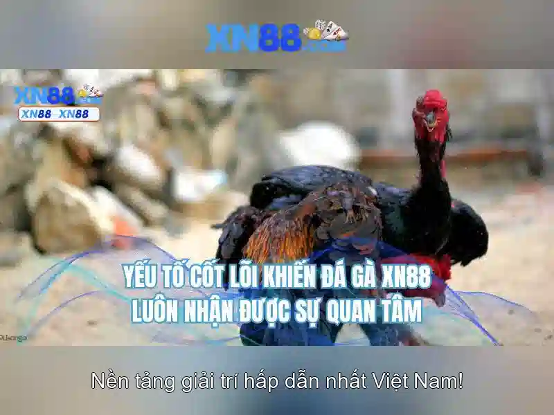 Những điểm nổi bật của xn88