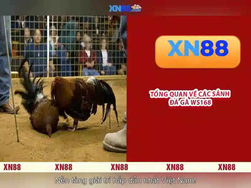 Các tính năng nổi bật