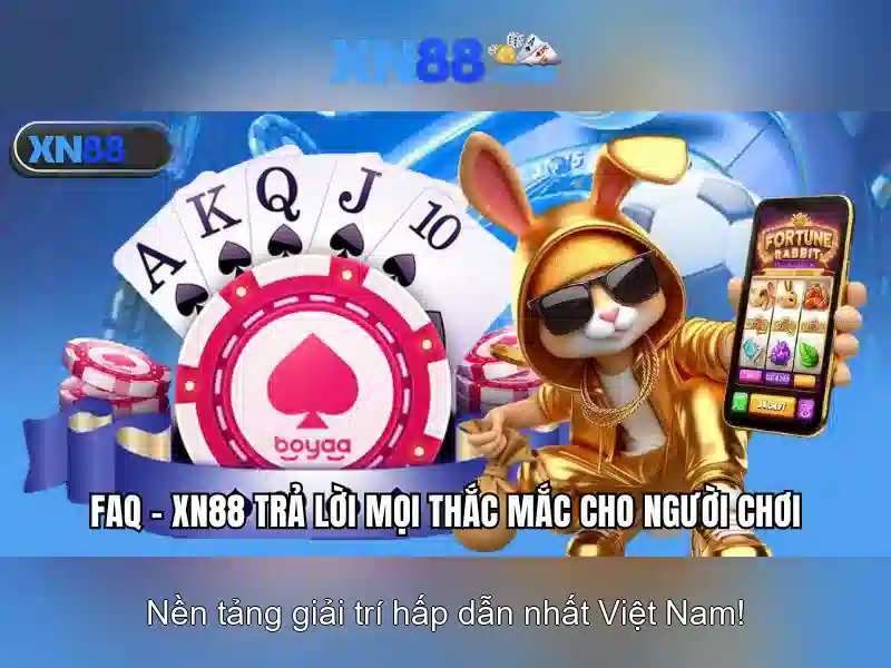Nền tảng và giao diện người dùng