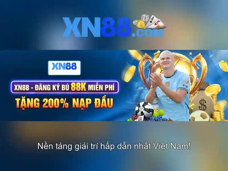 Trải nghiệm người dùng và hỗ trợ