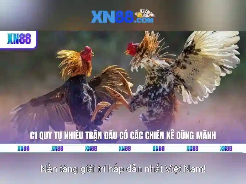 An toàn và quản lý rủi ro khi chơi trên xn88